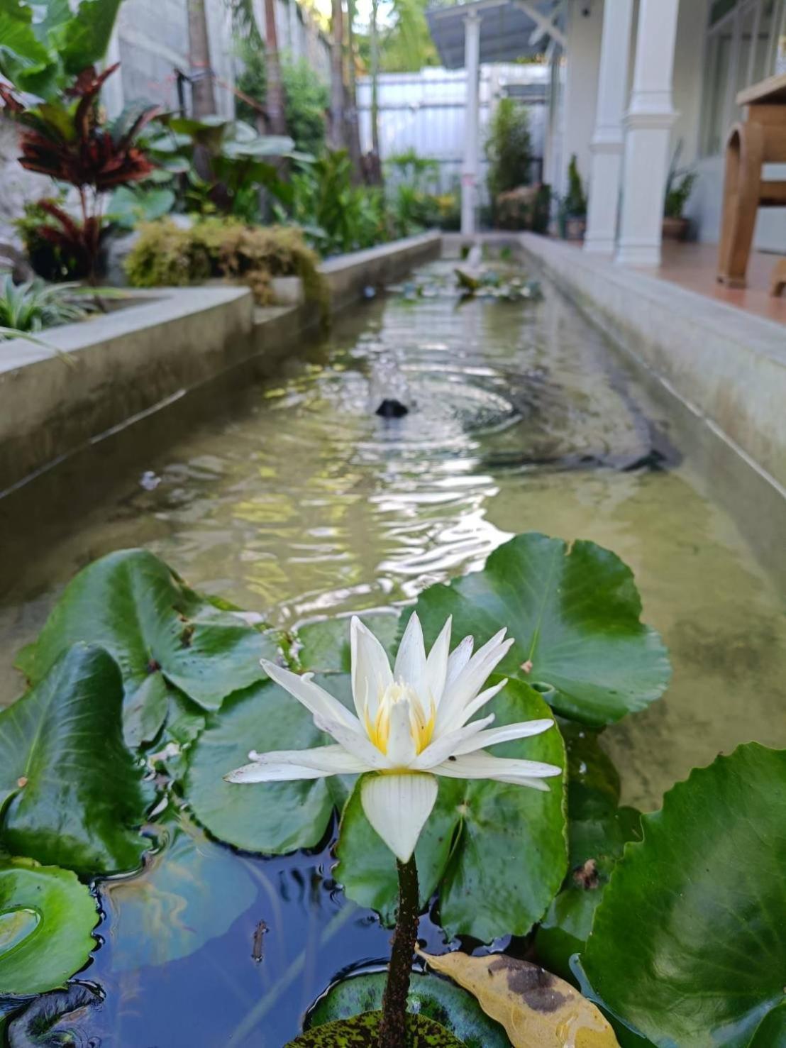 Hotel Baan Debtida Bangkok Esterno foto