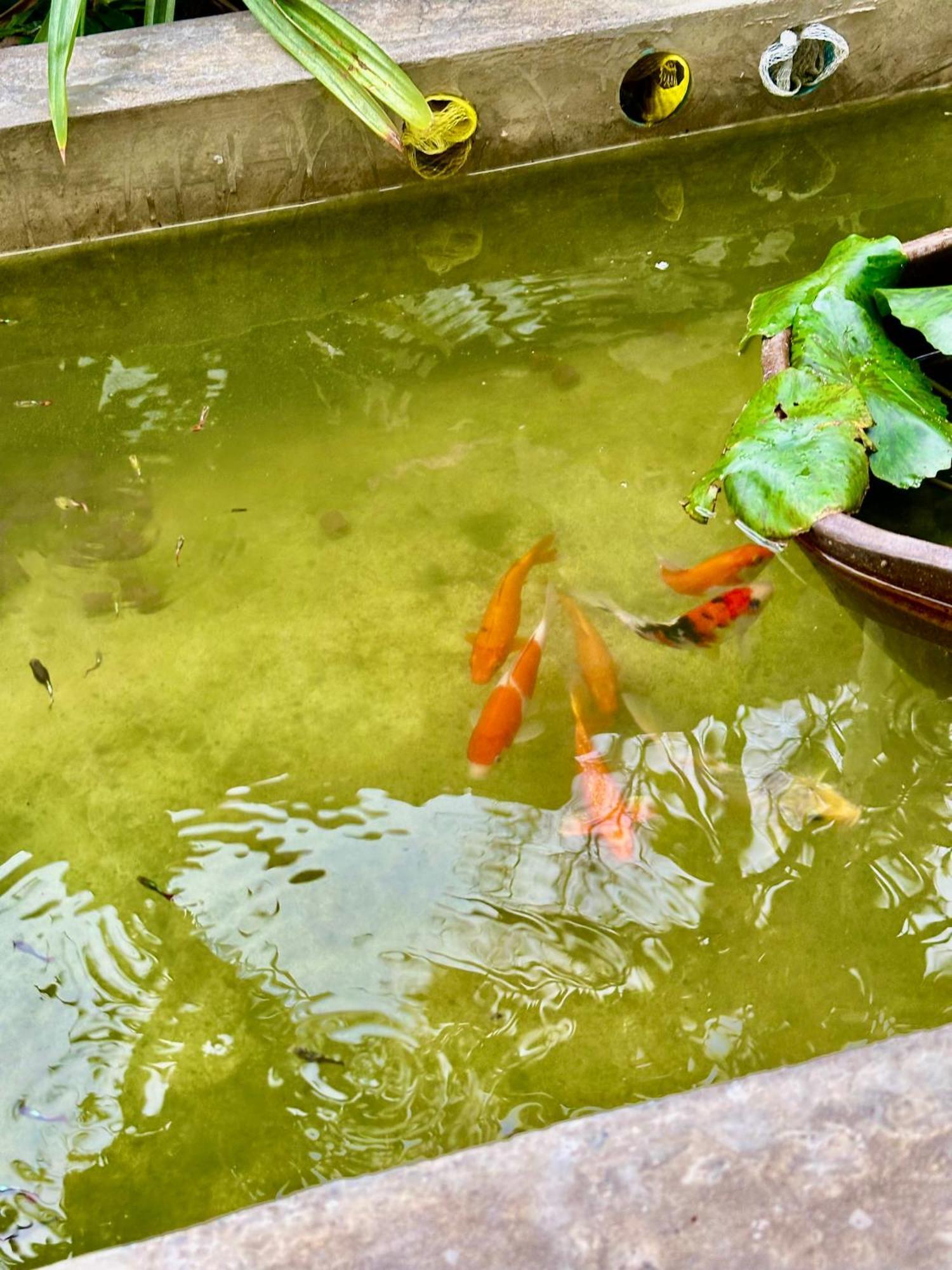 Hotel Baan Debtida Bangkok Esterno foto
